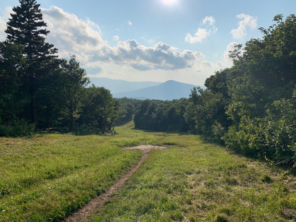 Bromley summit view