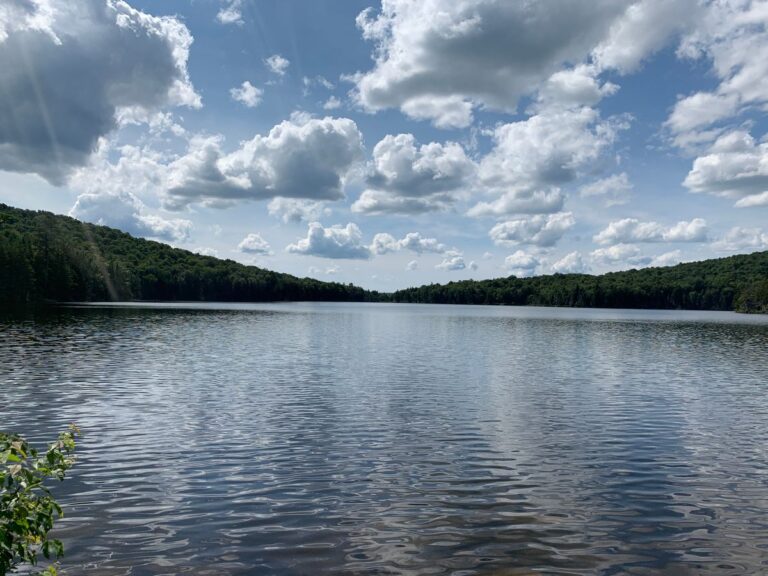 Stratton pond view 768