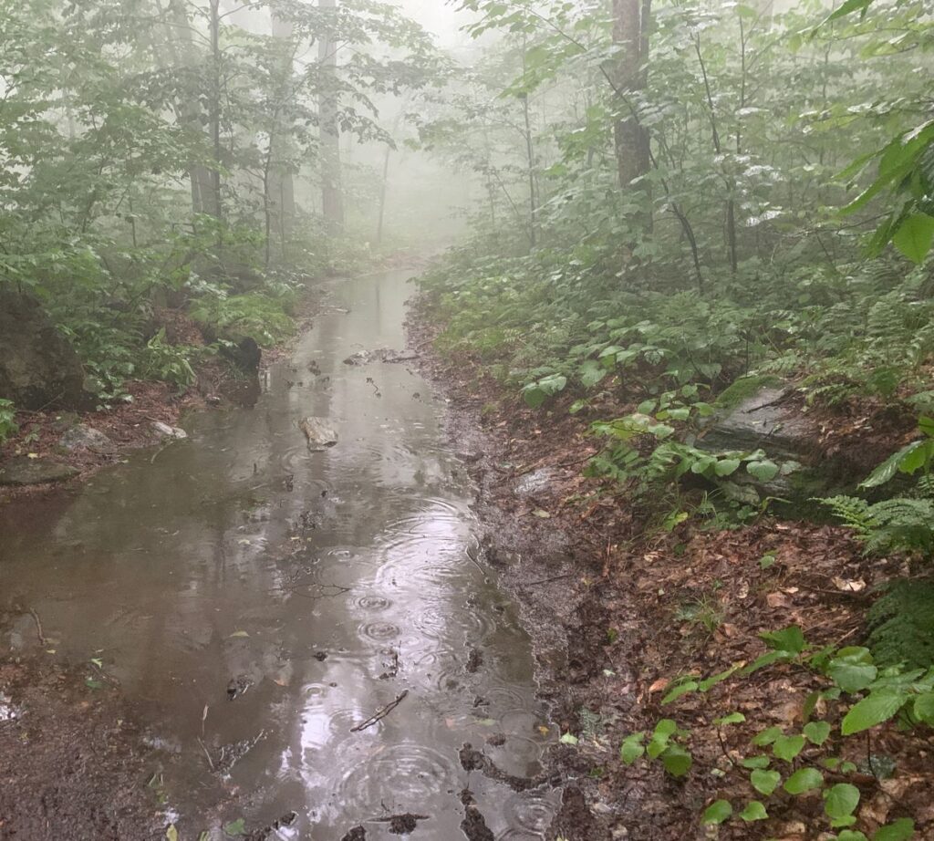 Wet trail conditions